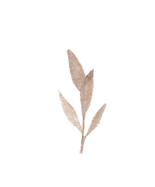 M.png blatt.png