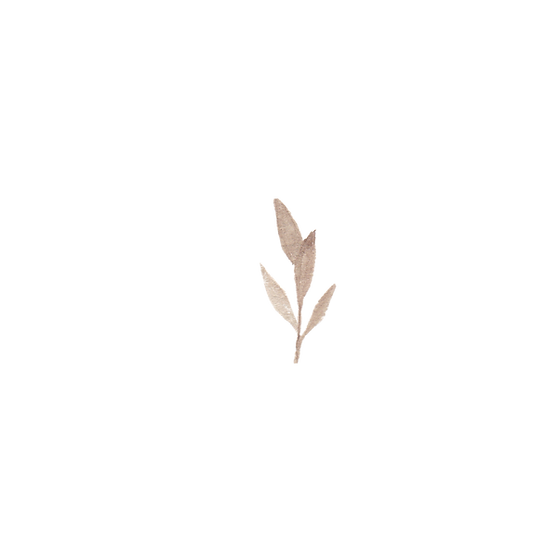 M.png blatt.png