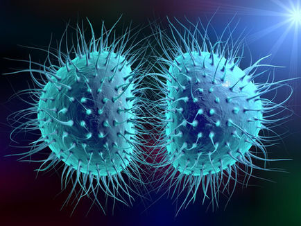 Meningitis Concerns in Reading Amid Kent Outbreak