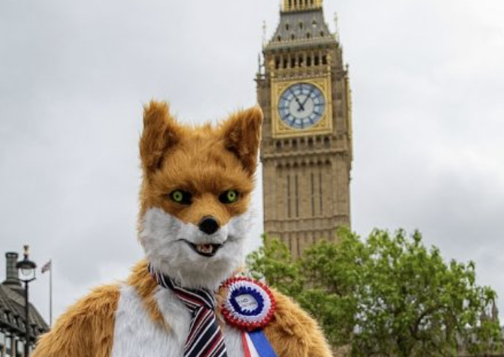 Rob Pownall wild life campainer dressed as a fox