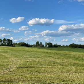 Summer: Birch Mountain