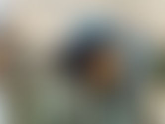 نقش ایران در جنگ ظفار: بازخوانی یک مداخله فراموششده