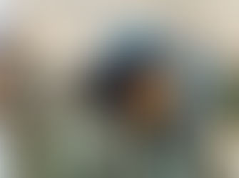 نقش ایران در جنگ ظفار: بازخوانی یک مداخله فراموش‌شده