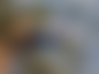 آتشسوزی در جنگل گلستان پس از ساعتها مهار شد؛ دویست هکتار طعمه حریق شد