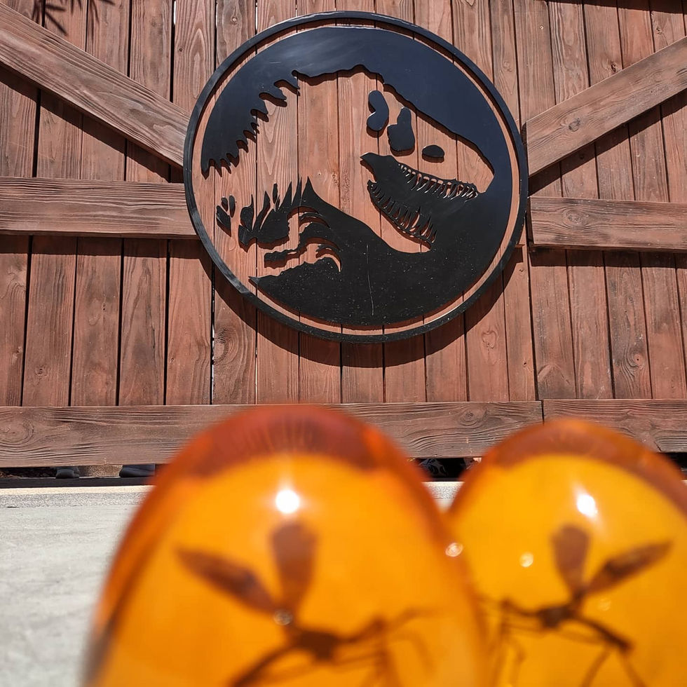 universalstudios