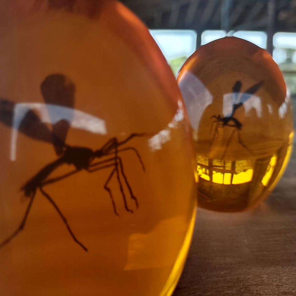 jurrassicworld