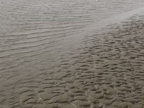 Shiften in beweging ✨✨✨