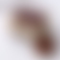 サイトご購読していただきありがとうございます