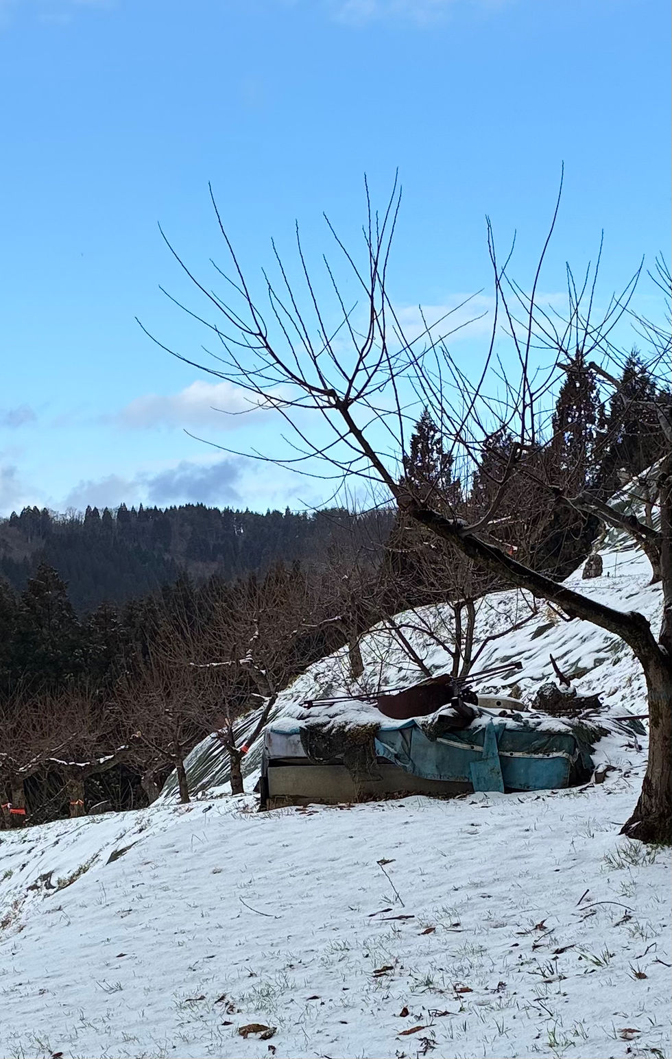 ついに判明!謎の構造物の正体。