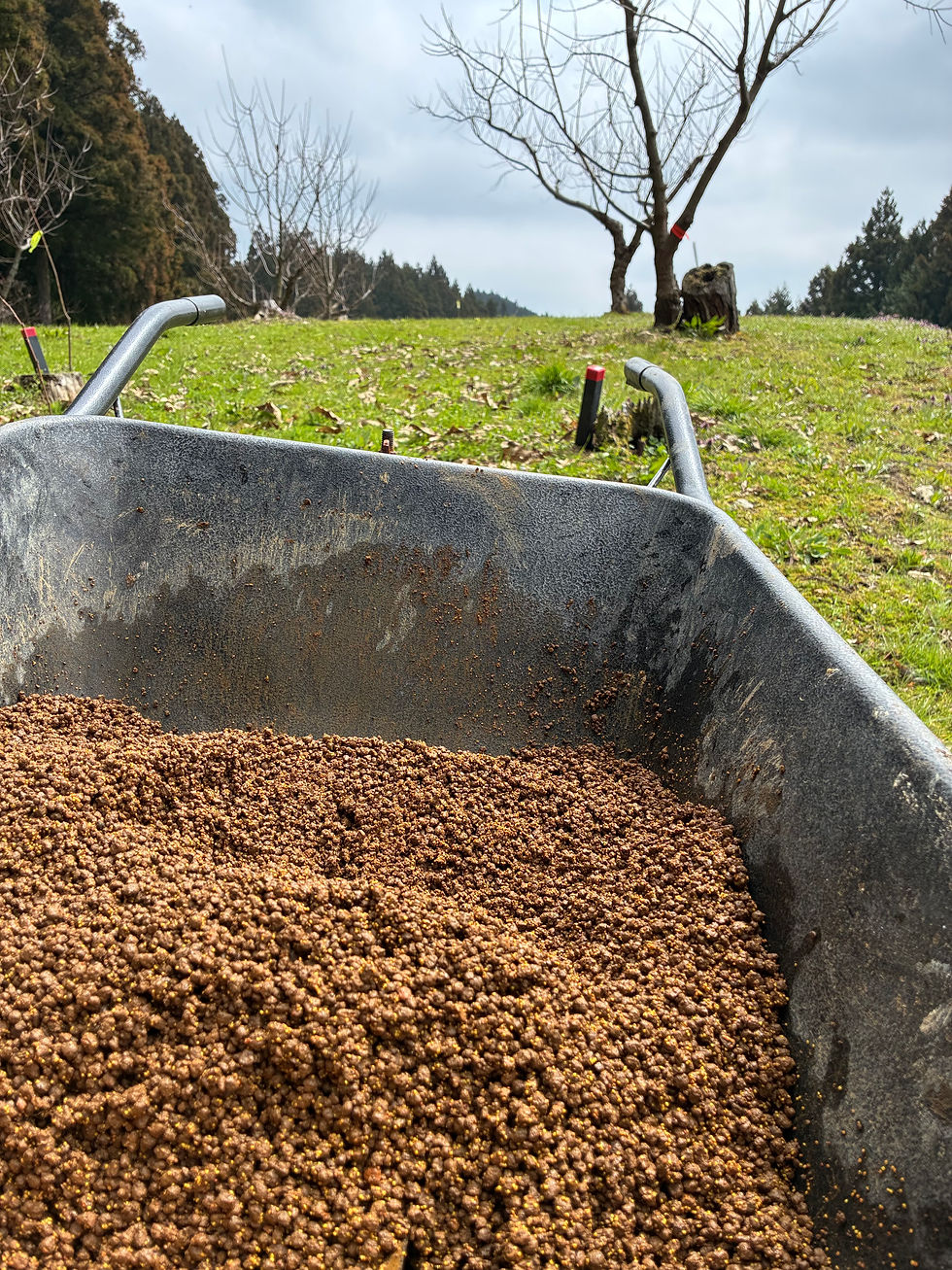 斜面の草苅対策