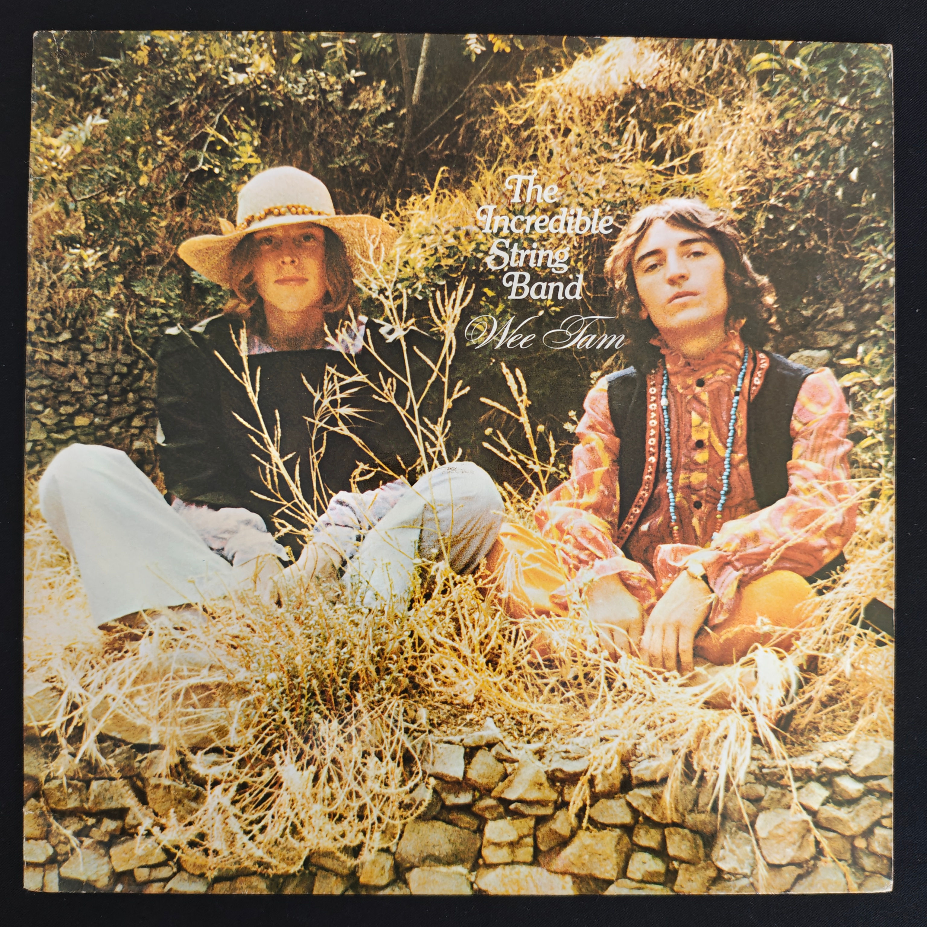 The Incredible String Band - Wee Tam (vinil LP | capa simples)