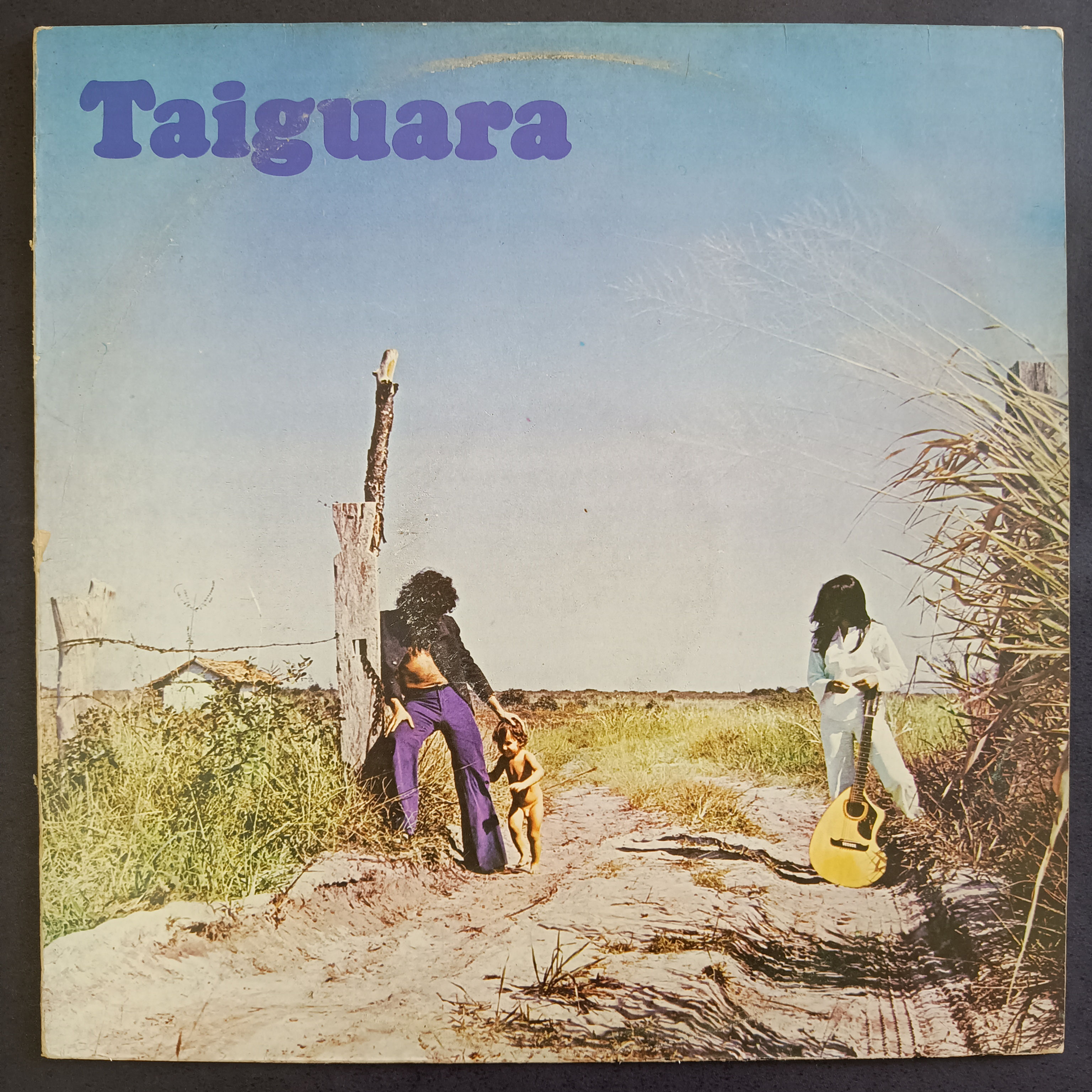 Grandes Sucessos de Taiguara (vinil LP | capa simpes)