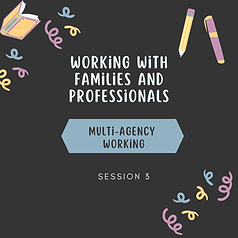 Copy of Week 3 – Multi-agency working.png