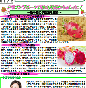 ウエノ薬局ほっと通信 Vol.157 2023年8月号