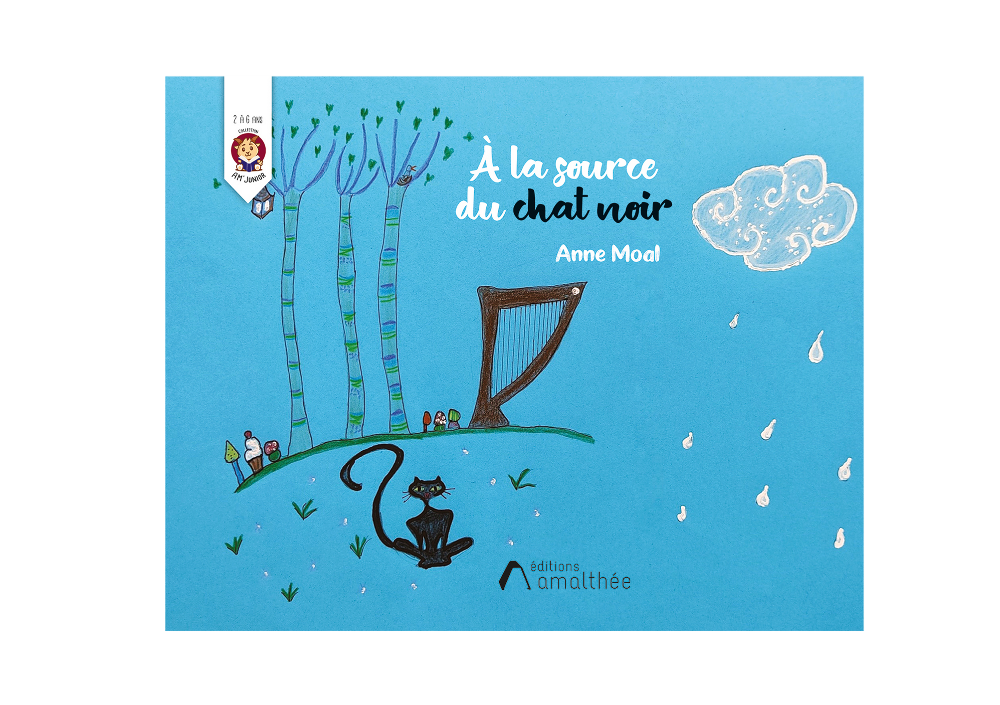 A la source du chat noir