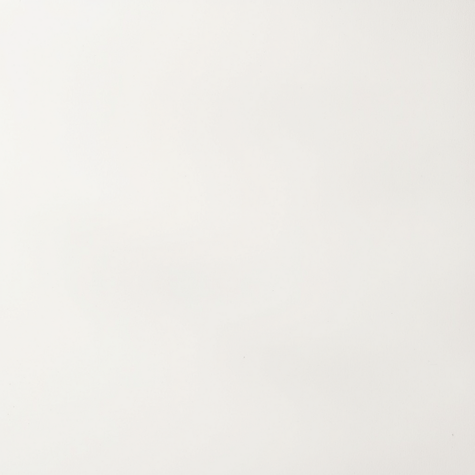 light earthy muted grain modern vintage minimal background image.png