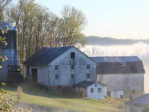 IMG_4508.JPG