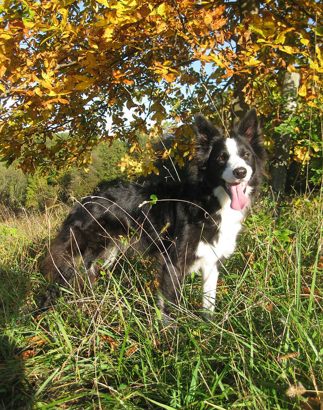 ABOUT OUR CLINIC | dvvb 