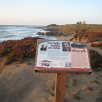 in-situ--bean-hollow-state-beach-web.jpg