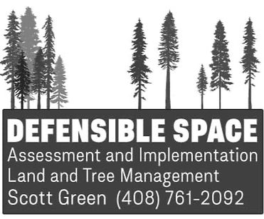 scott-green-DS-logo-3_edited.jpg