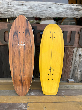 大注目のARBOR x CARVER サーフスケート再入荷！
