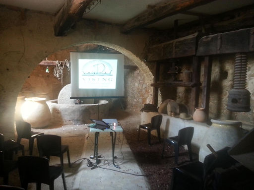 Conférence sur les vikings