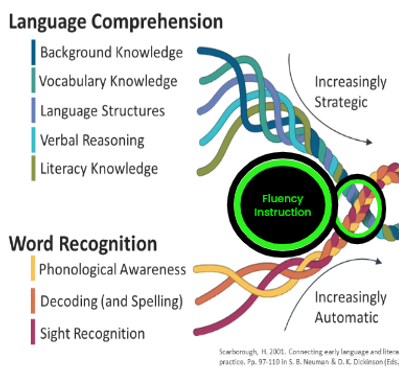 Scar rope part 3 w fluency.png