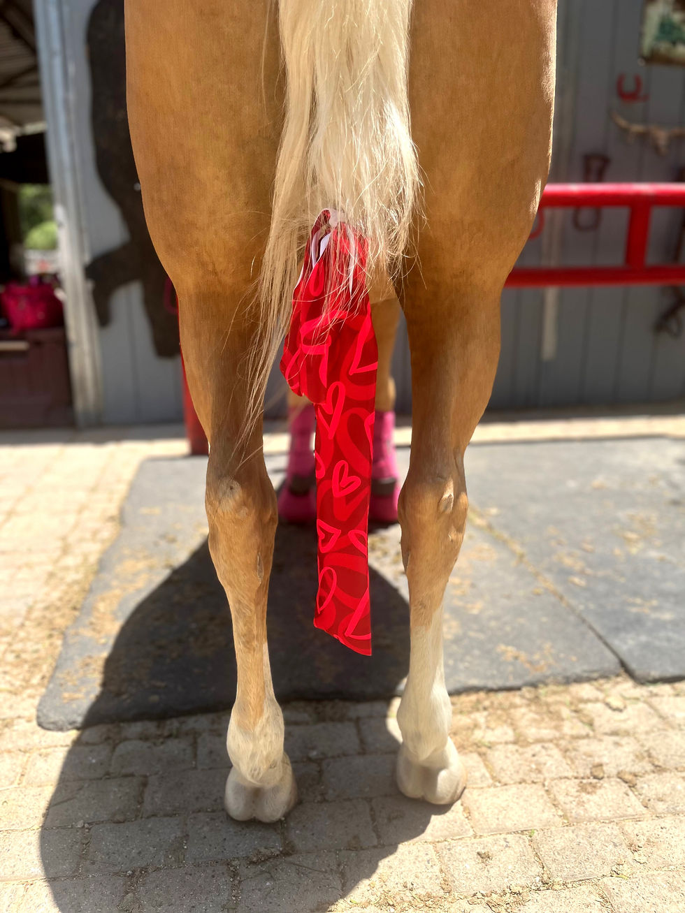 Thumbnail: BC EQUINE TAIL BAG