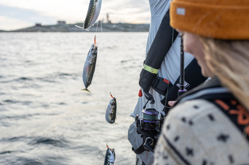 Makrillfiske Västkusten, Käringön.