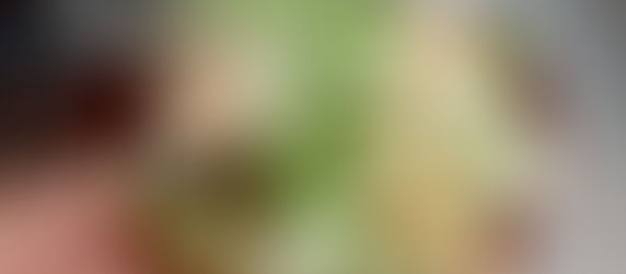 地元を味わう・虫沢の里芋【芋煮会】