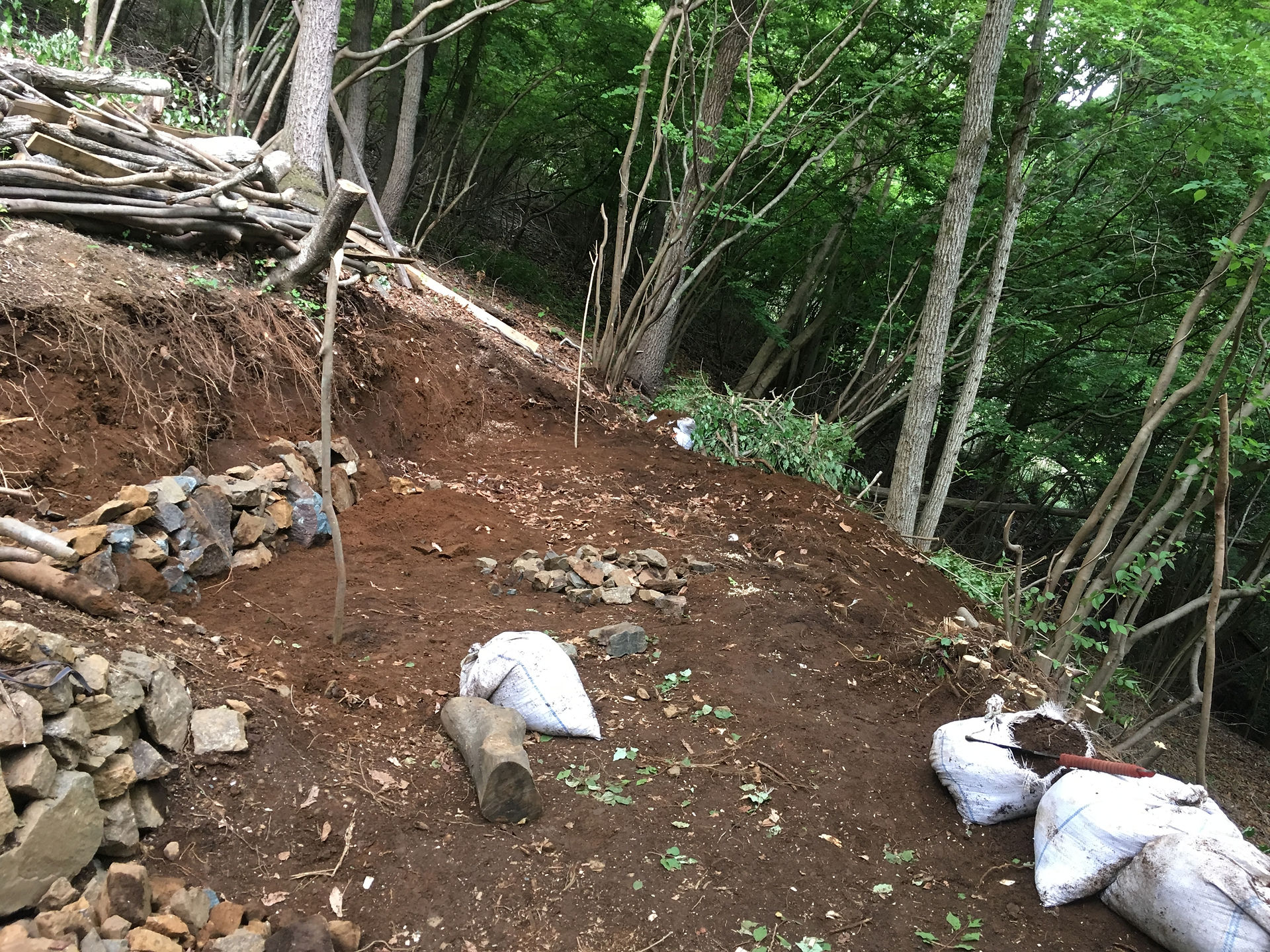 小屋の角々にあたる位置に杭を打っておく。