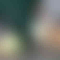 ドミンゴライスで～す