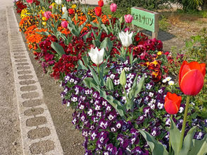 松木島サロン4月