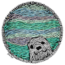 Woven harbor seal art in a circular frame