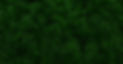 banner back2.jpg