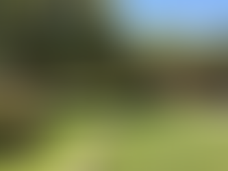 ASHMC Issues Recall Vote Amidst Allegations of Racism and Transphobia 