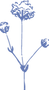 gypso 3_edited.png