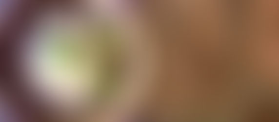 芝麻秋葵拌芽菜猴頭菇