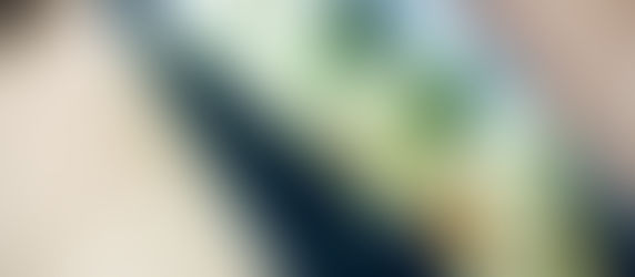 精進豆渣青椒仔餃子