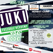 JUKI Herbst Camp