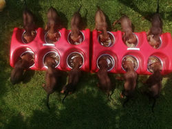 ❤️ 🧡 💛 💚 💙 💜❤️ 🧡 💛 💚 💙 💜