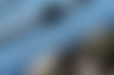 How to Self-Publish a Book