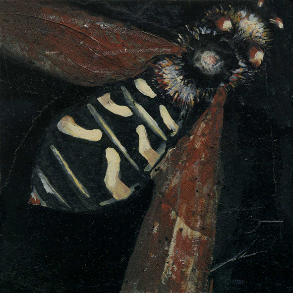 Mouche