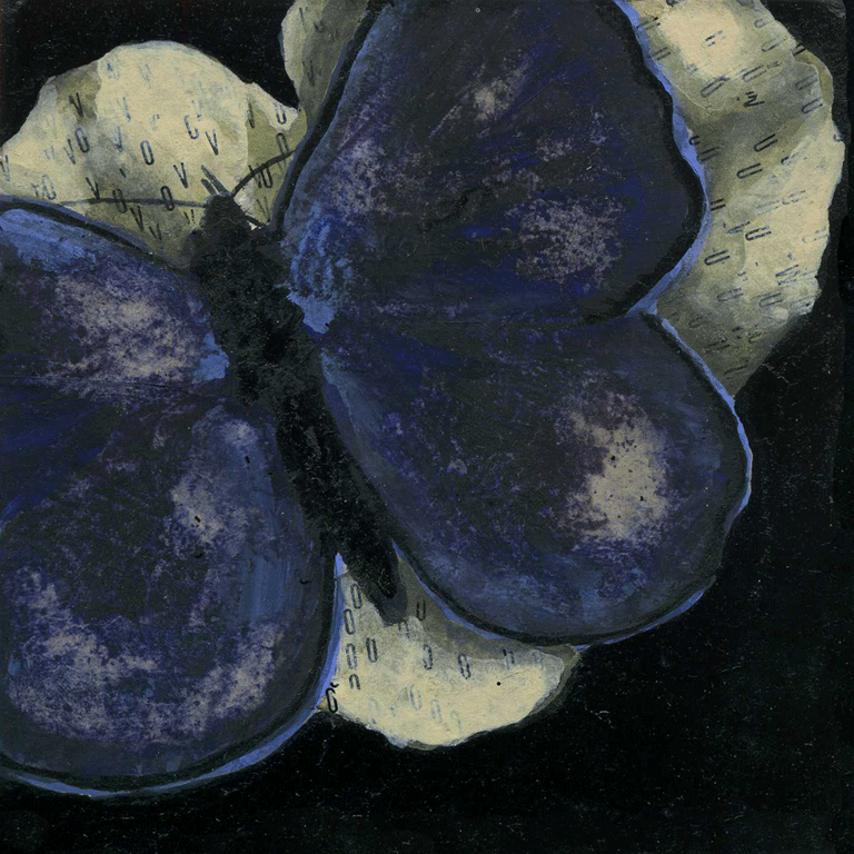 Papillon bleu