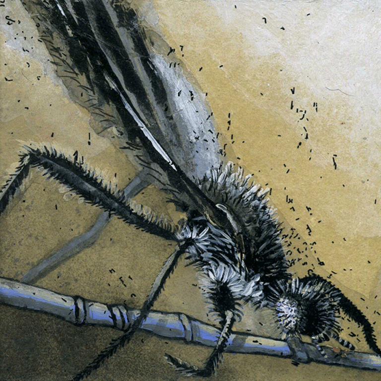 Mouche inclinée