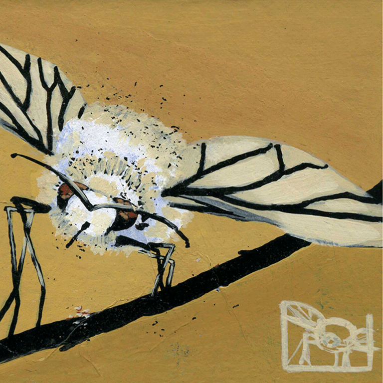 Mouche blanche