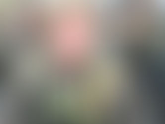 Derrota do ICE? Por Que um Juiz Mandou Soltar Mais de 400 Detidos - Fatos e Fake News