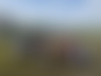 ソフトボール大会