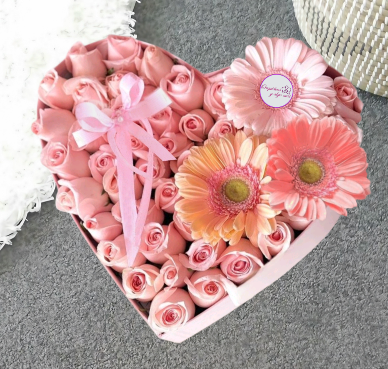Rosa pastel