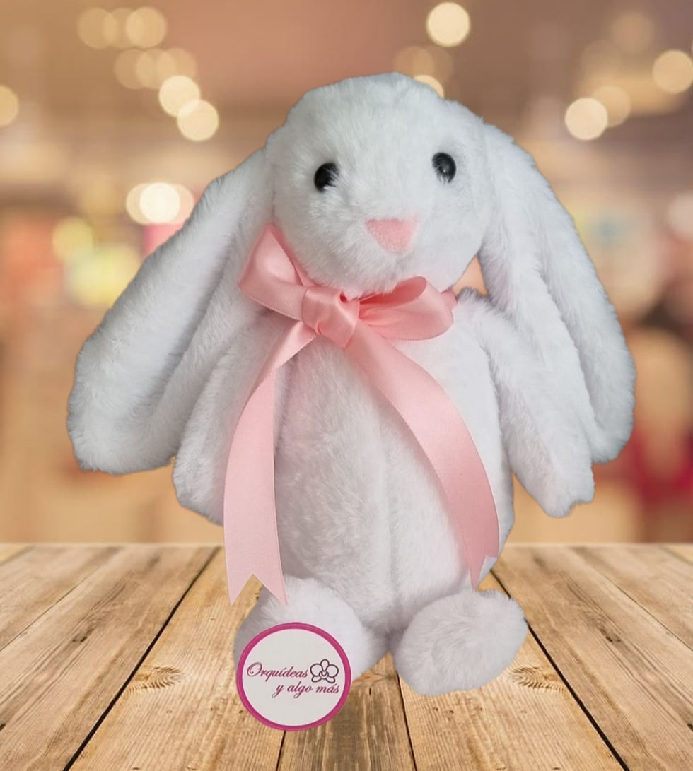 Miniatura: Bunny